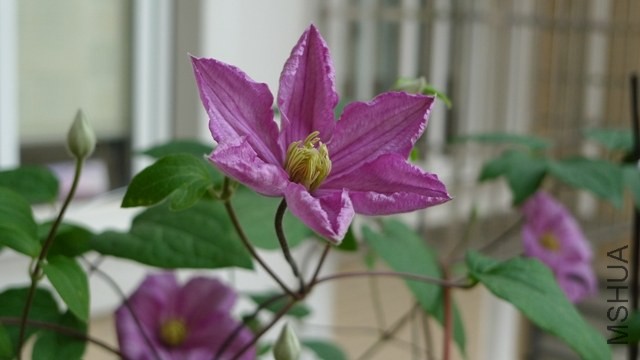 P1250940.JPG