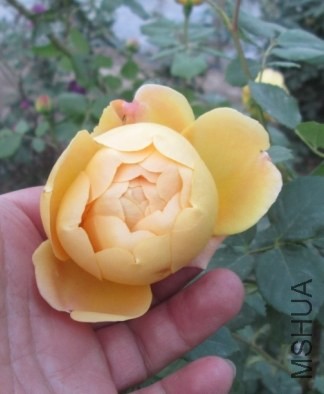 (PP30%7G[7W3$X{7ZP2RB9W.jpg