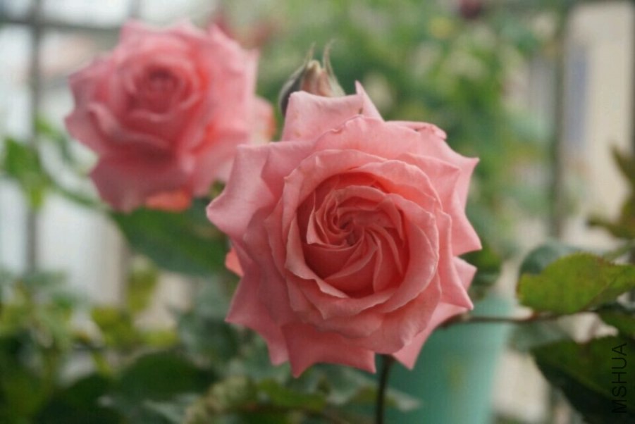 QQͼƬ20140517222423.jpg