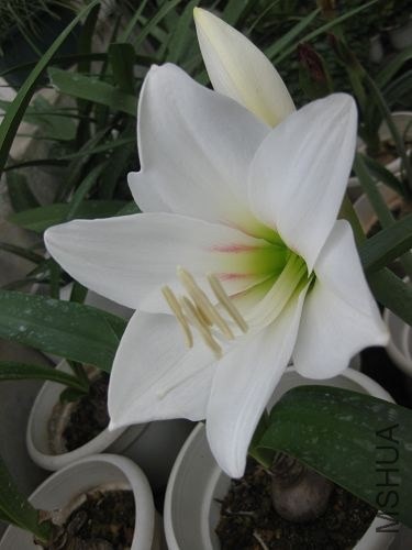 ��Ƭ2014 164.jpg