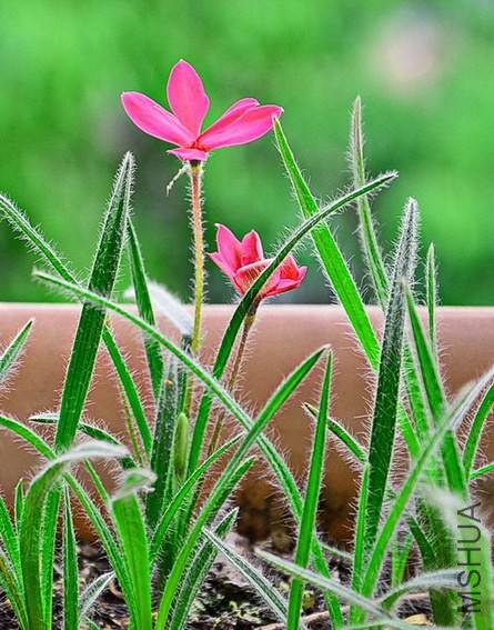 ��Ƭ 057.jpg