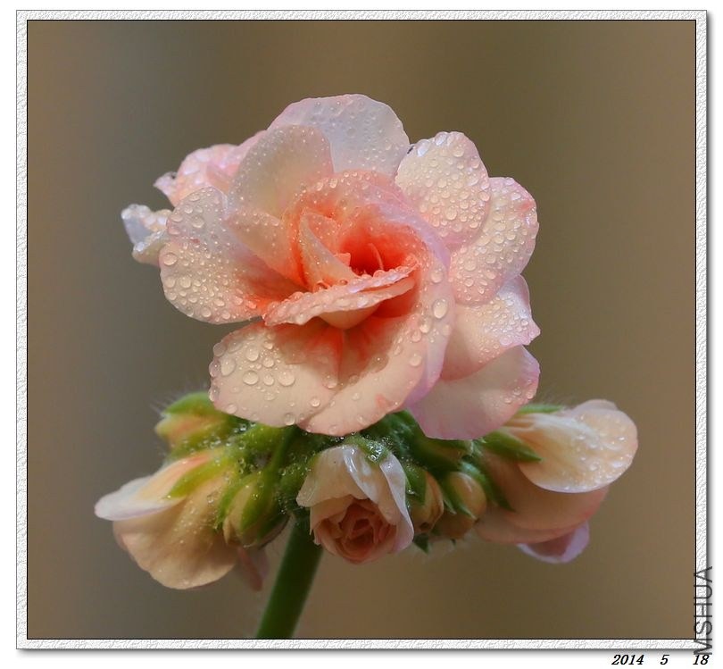 2014051801.jpg