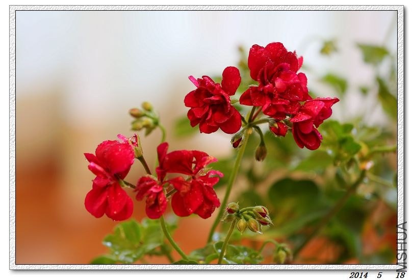 2014051804.jpg