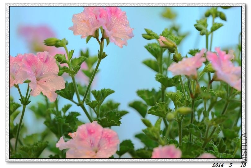2014051802.jpg