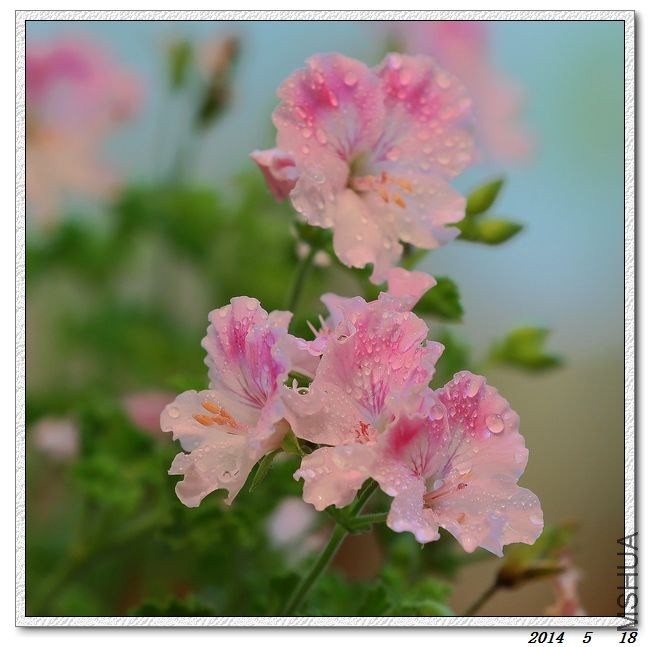 2014051803.jpg