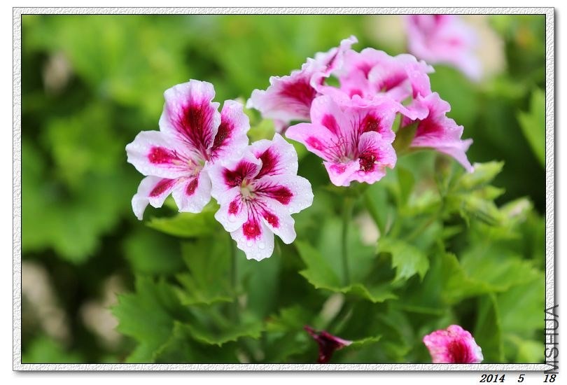 2014051805.jpg