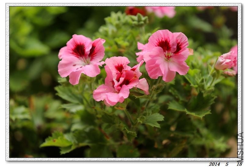 2014051806.jpg