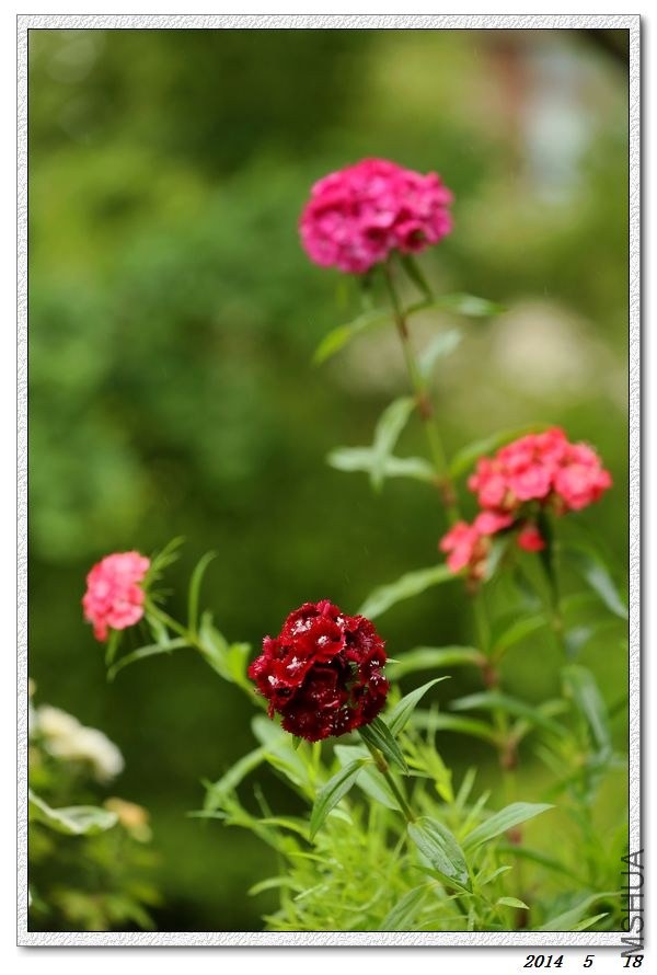 2014051807.jpg