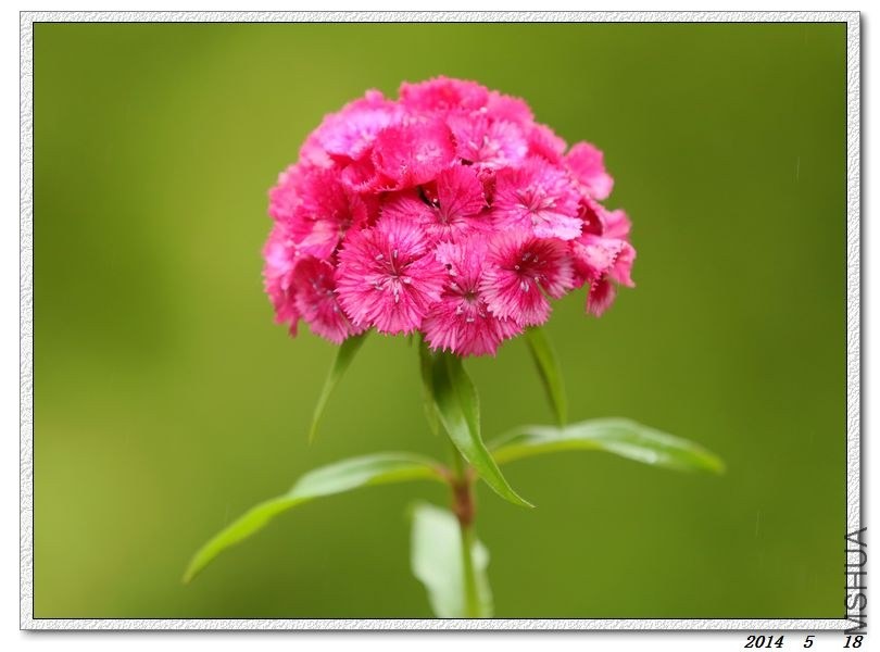 2014051808.jpg