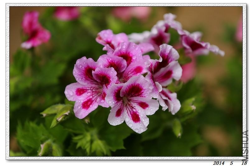 2014051809.jpg