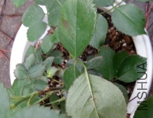 ������ܲ�̫������о������Ҷ��ʪʪ����Ҫ͸���ˡ�