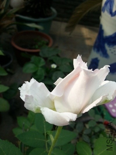 20140518_151901.jpg