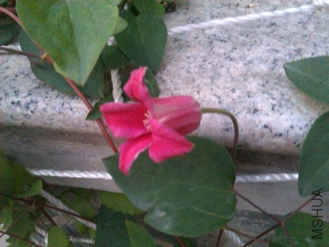 IMAG0916.jpg