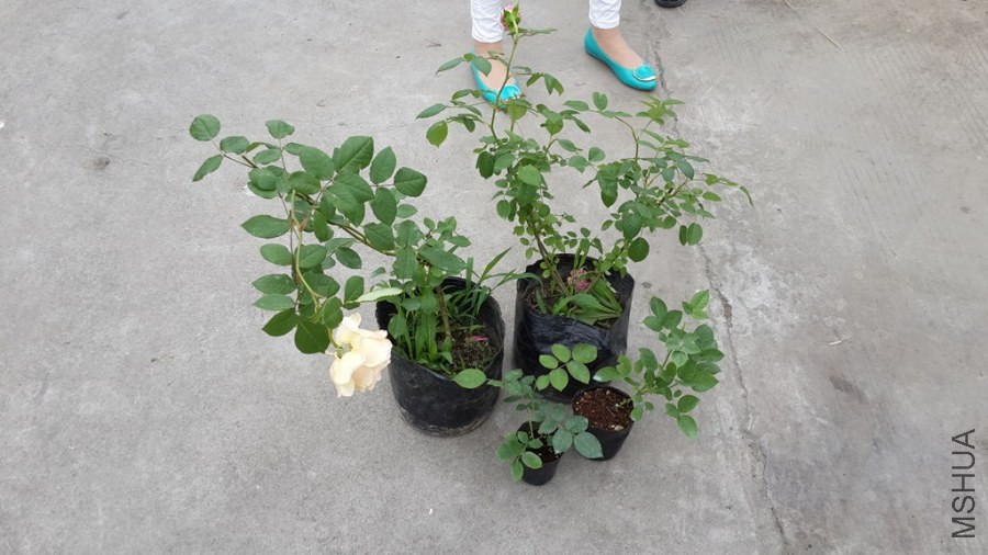 20140518_164943_����3.jpg