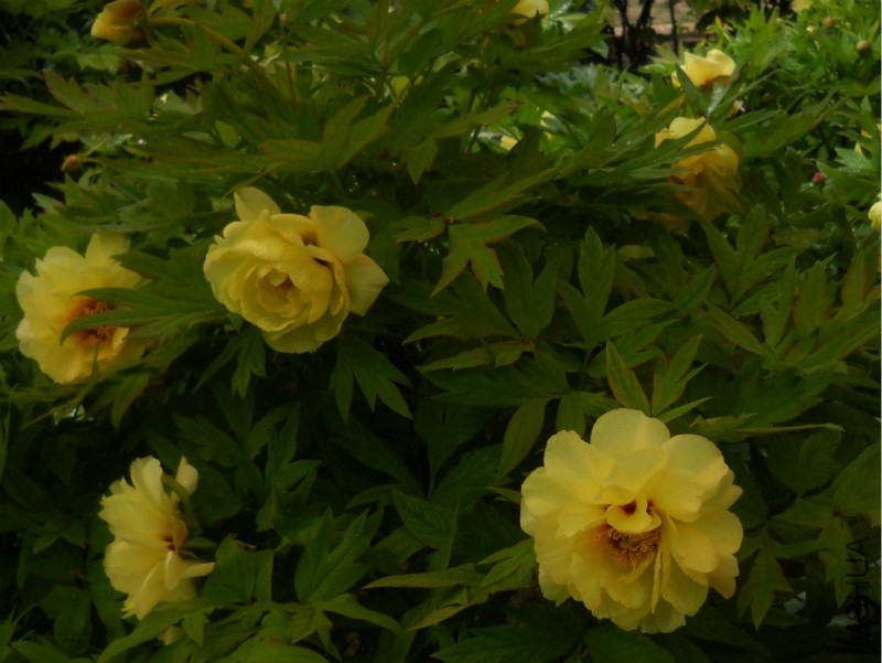 ��Ƭ 383_meitu_10.jpg