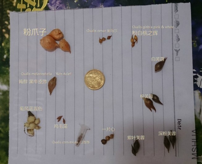 QQ��ͼ20140519141110.jpg