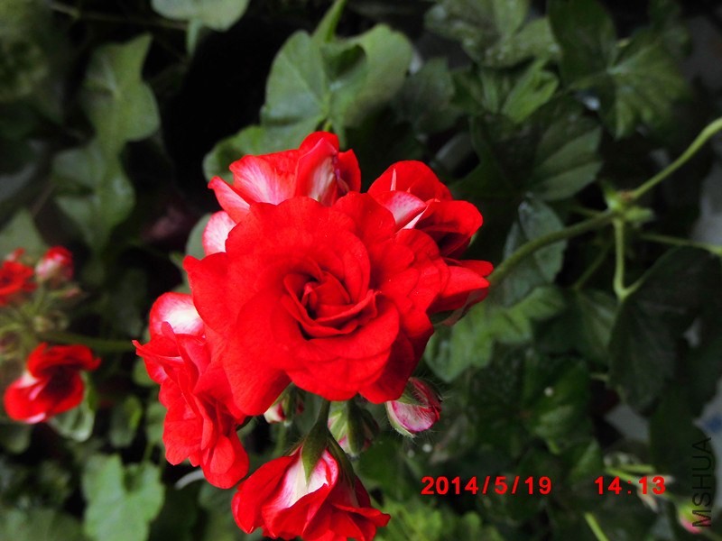 IMG_0038_����.jpg