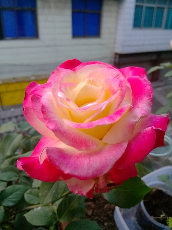 IMG_20140417_065516.jpg