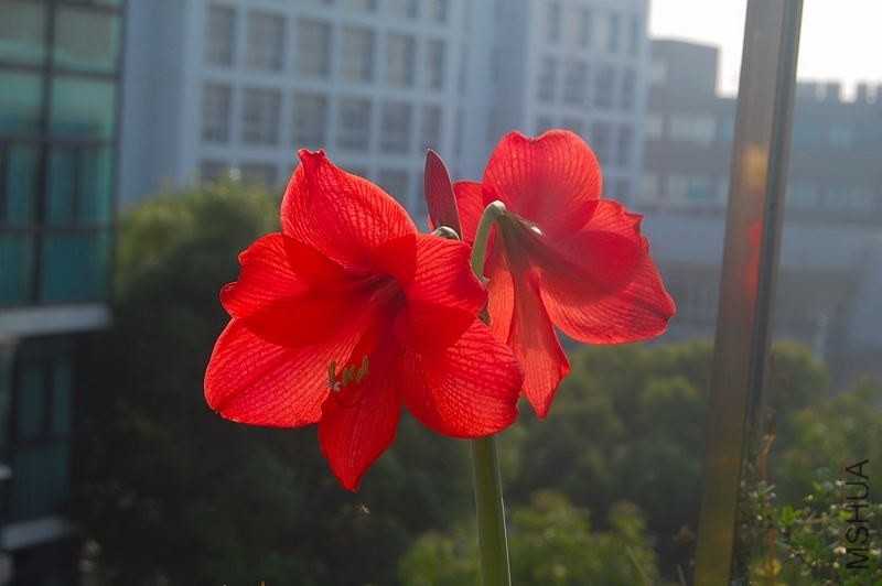 DSC_00160016.JPG