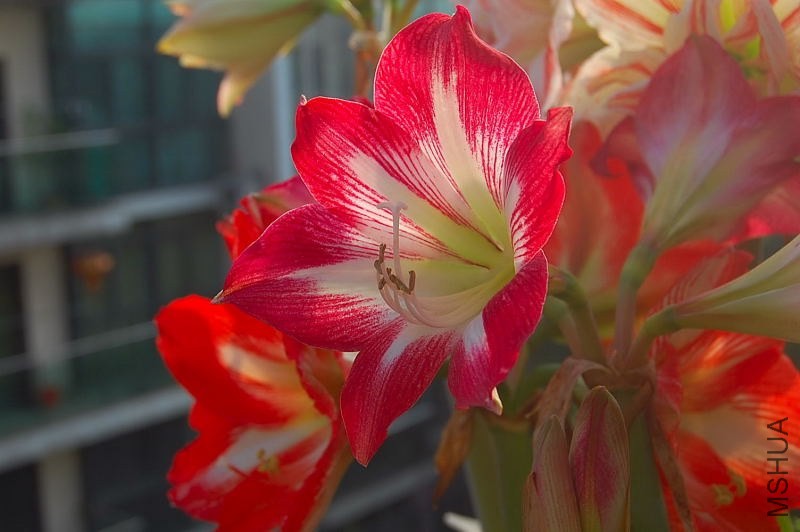 DSC_00210021.JPG