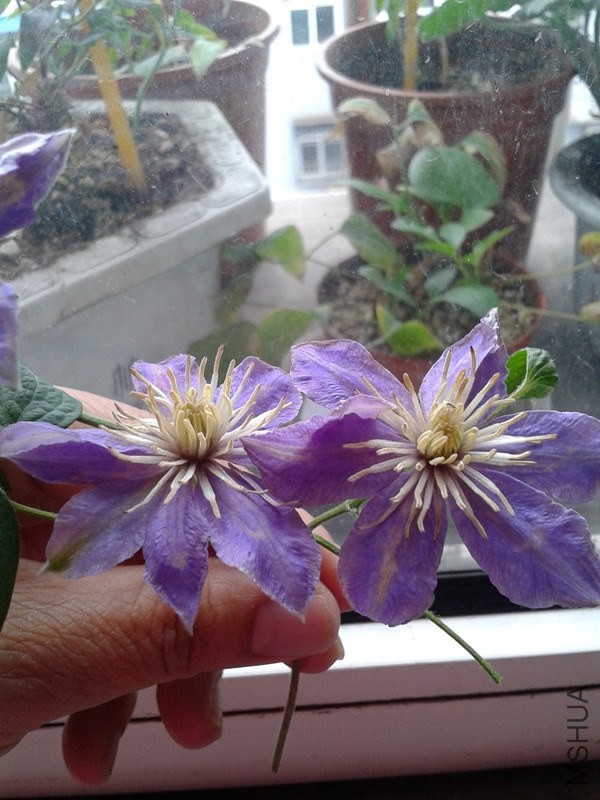 2014-05-19 13.21.52_����.jpg