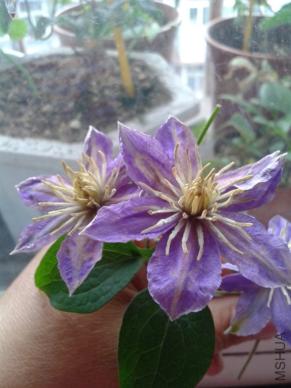 2014-05-19 13.21.56_����.jpg