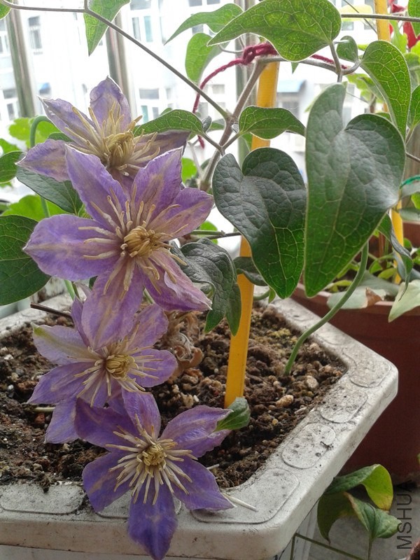 2014-05-19 13.49.32_����.jpg