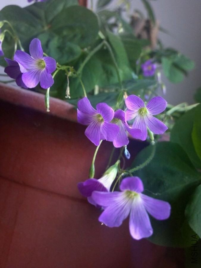 QQͼƬ20140519200444.jpg
