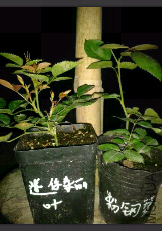 1400501141727.jpg