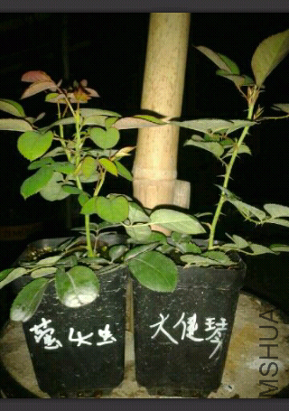 1400501122295.jpg