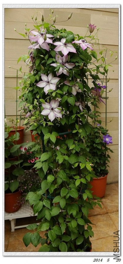 2014052002.jpg