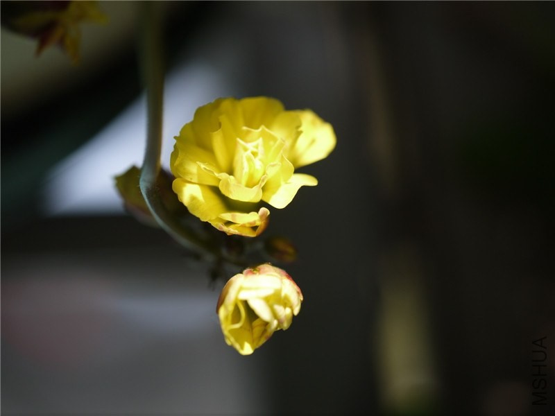 P1050380.jpg