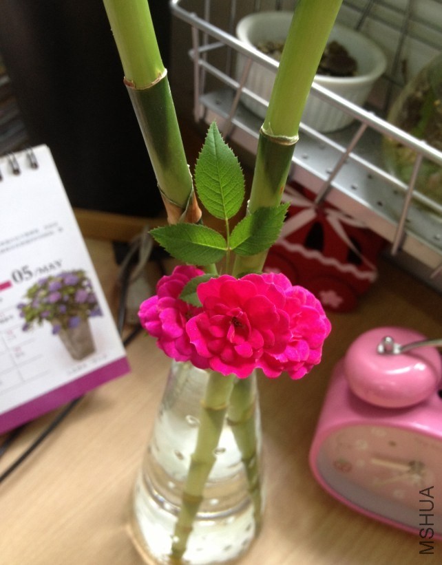 QQ��ͼ20140520121202.jpg