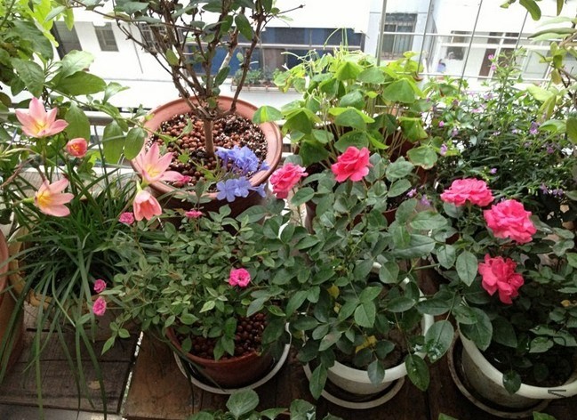 QQ��ͼ20140520122456.jpg