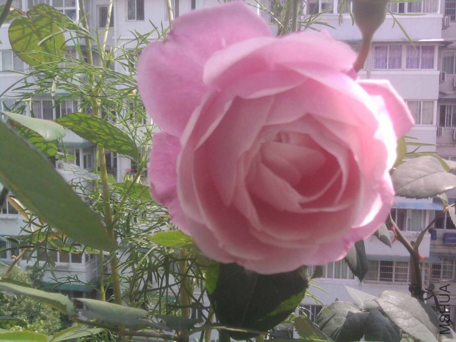 ��Ƭ0349.jpg