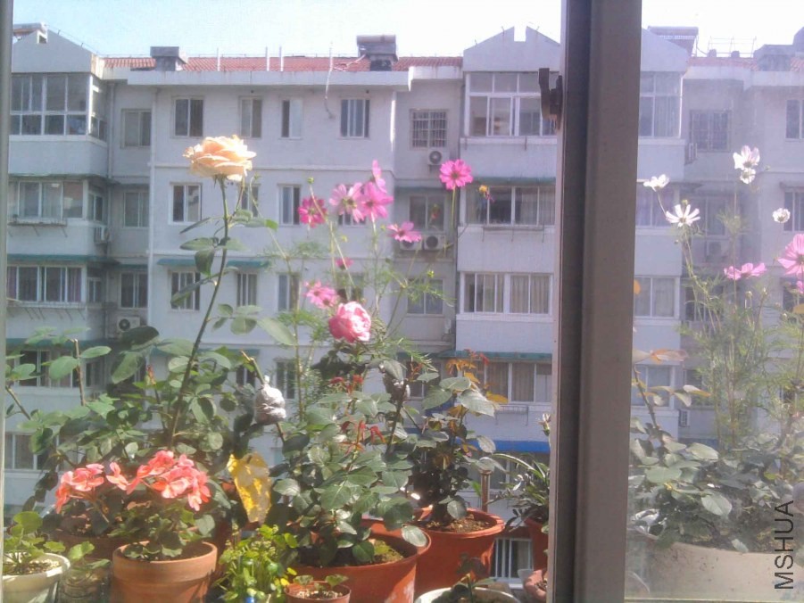 ��Ƭ0369.jpg