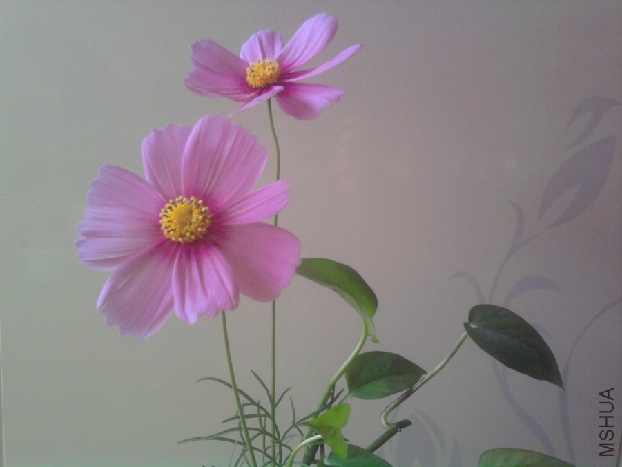 ��Ƭ0353.jpg
