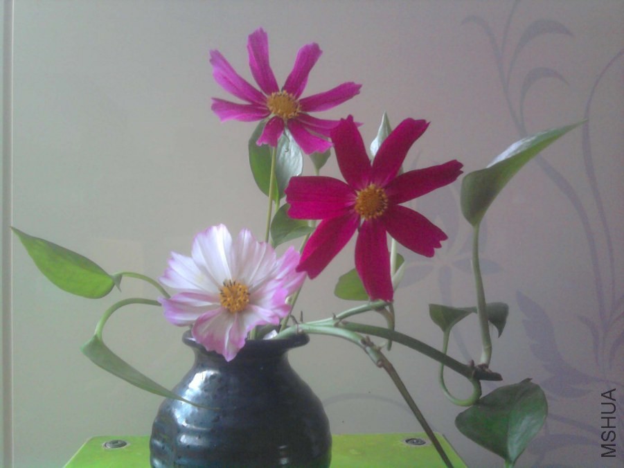 ��Ƭ0355.jpg