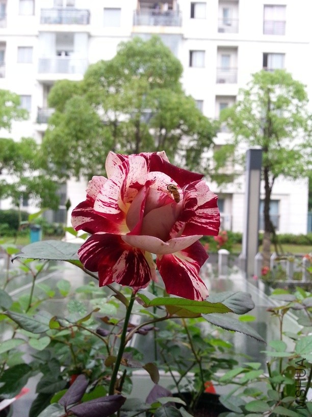 20140518_114324.jpg