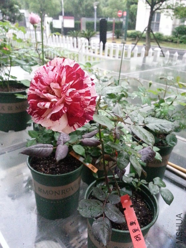 20140519_182025.jpg