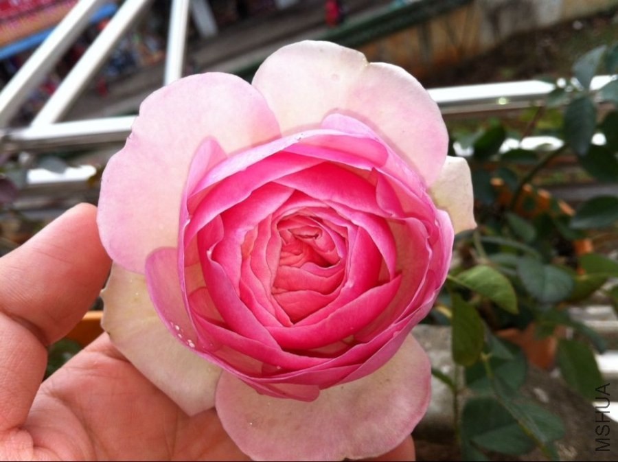 QQͼƬ20140521095434.jpg