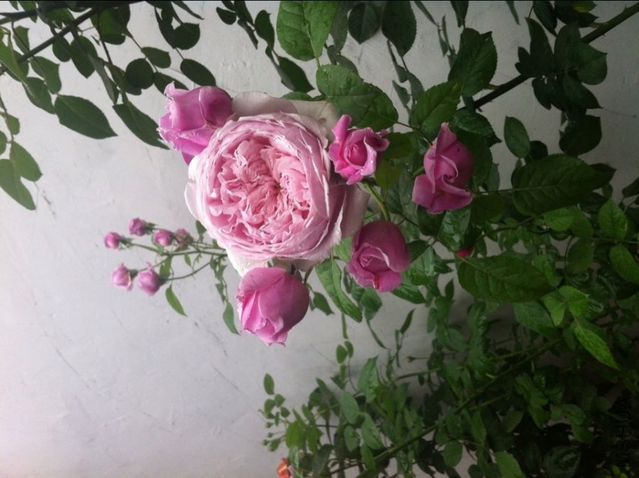 QQͼƬ20140521095421.jpg