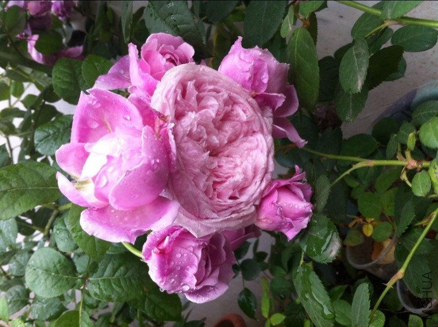QQͼƬ20140521095425.jpg