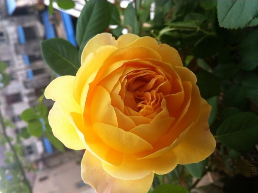QQͼƬ20140521095431.jpg