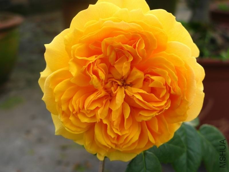 �����ݲ�10 016.JPG