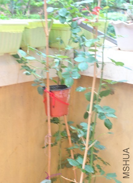 QQͼƬ20140521111720.jpg