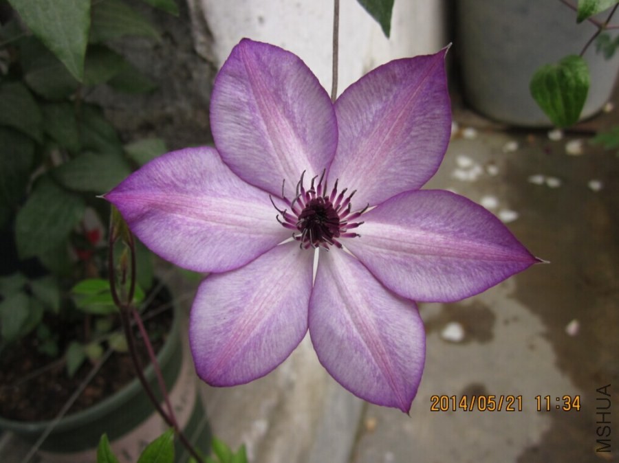QQͼƬ20140521114751.jpg