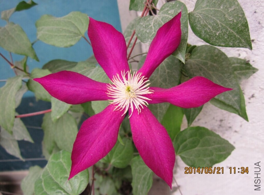 QQͼƬ20140521114756.jpg