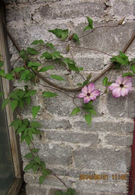 QQͼƬ20140521114812.jpg