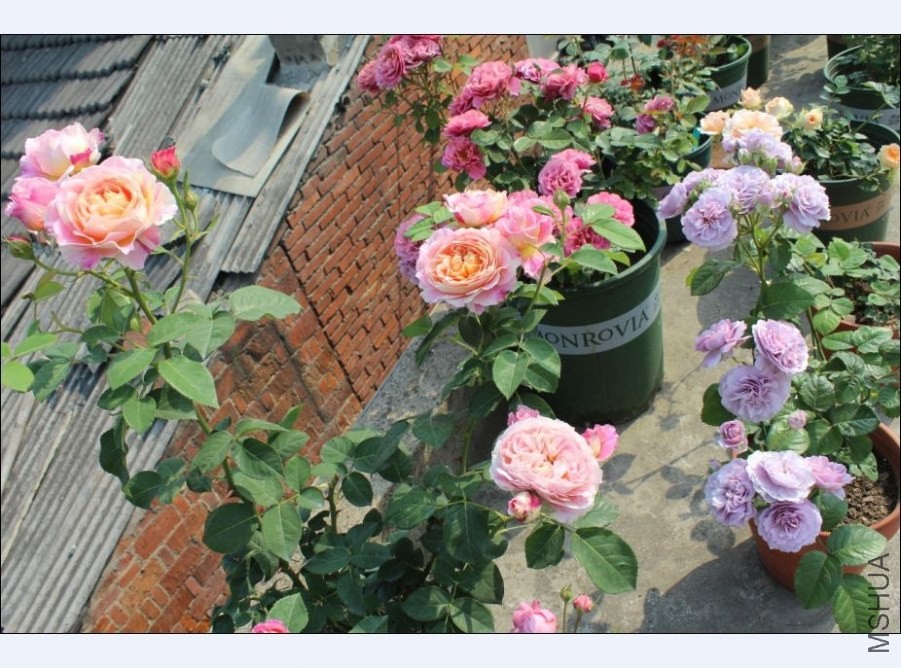 QQͼƬ20140521140432.jpg